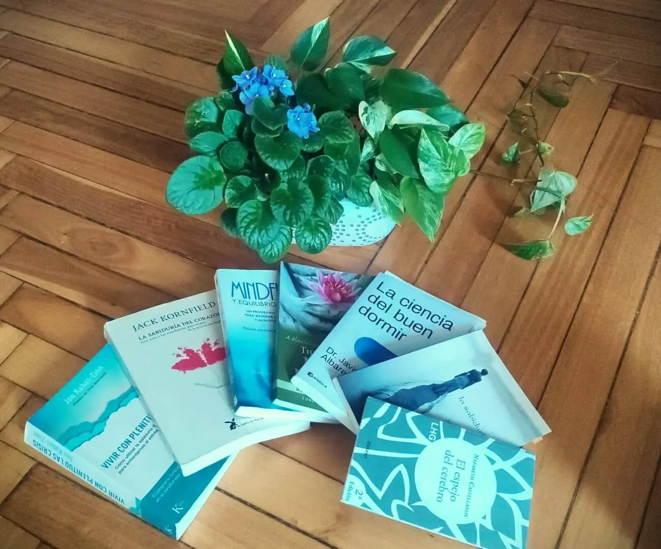 psicologa-bilbao-sobre-mi-01 Psicóloga Bilbao